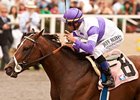 No More U.S. Lion Hearts After Current 2YOs No More U.S. Lion Hearts After Current 2YOs