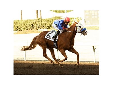 Anillo is 1 of 2 runners for trainer Jeff Bonde in the Vernon O. Underwood Stakes.