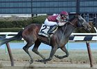 Last Gunfighter Invades for Pimlico Special Last Gunfighter Invades for Pimlico Special