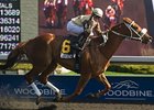 Essence Hit Man wins the Jacques Carter Stakes for the third year in a row.