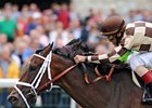 Canadian champion Embur's Song is among those in the 80-horse Fares Farm consignment.