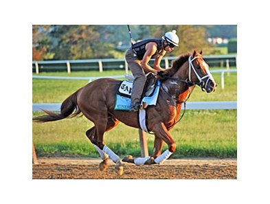 Midnight Taboo <br><a target="blank" href="http://photos.bloodhorse.com/TripleCrown/2013-Triple-Crown/Belmont-Stakes-145/29744699_jpqpwR#!i=2547838950&k=J26KkKG">Order This Photo</a>