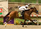Well Armed, who won the San Diego in 2008, is back to try again in 2009.<br><a target="blank" href="http://www.bloodhorse.com/horse-racing/photo-store?ref=http%3A%2F%2Fpictopia.com%2Fperl%2Fgal%3Fprovider_id%3D368%26ptp_photo_id%3D5179445%26ref%3Dstory">Order This Photo</a>