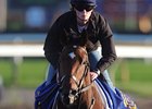 Trainer Costigan Trying for Queen's Plate Trainer Costigan Trying for Queen's Plate