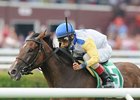 Perfect Shirl
<br><a target="blank" href="http://www.bloodhorse.com/horse-racing/photo-store?ref=http%3A%2F%2Fpictopia.com%2Fperl%2Fgal%3Fprovider_id%3D368%26ptp_photo_id%3D9120471%26ref%3Dstory">Order This Photo</a>