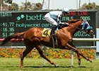 Dhaamer won the Sunset Handicap at Hollywood Park on July 15.