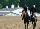 Animal Kingdom at Fair Hill.<br><a target="blank" href="http://www.bloodhorse.com/horse-racing/photo-store?ref=http%3A%2F%2Fpictopia.com%2Fperl%2Fgal%3Fprovider_id%3D368%26ptp_photo_id%3D9523483%26ref%3Dstory">Order This Photo</a>