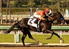 Shakin It Up won the San Vicente Stakes on Feb 17.