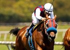 Bobina in the Senorita Stakes.