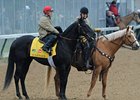 Yagos Stays Upbeat Despite Rail Draw Yagos Stays Upbeat Despite Rail Draw