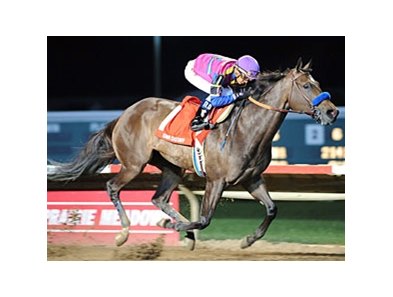 Freedom Star is the 3-1 morning line favorite in the Chilukki Stakes.