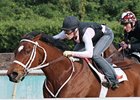 Havre De Grace