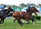 Right One gets up late to win the Jaipur Stakes at Belmont.
<br><a target="blank" href="http://www.bloodhorse.com/horse-racing/photo-store?ref=http%3A%2F%2Fpictopia.com%2Fperl%2Fgal%3Fprovider_id%3D368%26ptp_photo_id%3D9599561%26ref%3Dstory">Order This Photo</a>