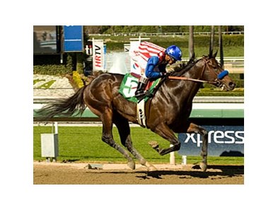Fed Biz cruises at Santa Anita.