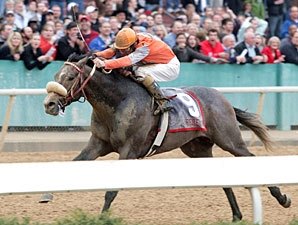 Trainer Has Ambitious Plans for Win Willy Trainer Has Ambitious Plans for Win Willy