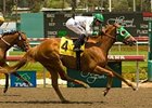 Maiden Harlene Leads Gold Rush Upsets Maiden Harlene Leads Gold Rush Upsets