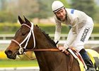 Carlsbad<br><a target="blank" href="http://www.bloodhorse.com/horse-racing/photo-store?ref=http%3A%2F%2Fpictopia.com%2Fperl%2Fgal%3Fprovider_id%3D368%26ptp_photo_id%3D7959796%26ref%3Dstory">Order This Photo</a>