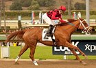 Reneesgotzip wins the Santa Ynez.