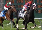 Bold Chieftain takes on 8 in the San Francisco Mile.