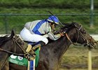 2010 Breeders' Cup Classic winner Blame<br><a target="blank" href="http://www.bloodhorse.com/horse-racing/photo-store?ref=http%3A%2F%2Fpictopia.com%2Fperl%2Fgal%3Fprovider_id%3D368%26ptp_photo_id%3D9267695%26ref%3Dstory">Order This Photo</a>