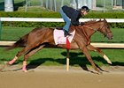 Rose to Gold Lone Friday Oaks Worker Rose to Gold Lone Friday Oaks Worker