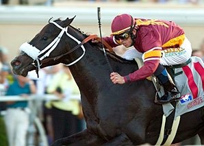 Georgie Boy Choice in Millions Dash Georgie Boy Choice in Millions Dash