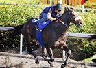 Zenyatta drilled a fluid six furlongs in 1:11 4/5 on morning of Oct. 30 at Hollywood Park.