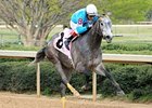 On Fire Baby tries Belmont Park in the Acorn Stakes.