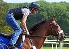 Mucho Macho Man<br><a target="blank" href="http://www.bloodhorse.com/horse-racing/photo-store?ref=http%3A%2F%2Fpictopia.com%2Fperl%2Fgal%3Fprovider_id%3D368%26ptp_photo_id%3D9551911%26ref%3Dstory">Order This Photo</a>