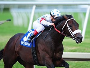Trickmeister Remains Unbeaten in Comeback Win Trickmeister Remains Unbeaten in Comeback Win