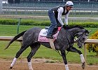 Beautician, fourth in the Kentucky Oaks, tries turf in the Regret.<br><a target="blank" href="http://www.bloodhorse.com/horse-racing/photo-store?ref=http%3A%2F%2Fpictopia.com%2Fperl%2Fgal%3Fprovider_id%3D368%26ptp_photo_id%3D8920608%26ref%3Dstory">Order This Photo</a>