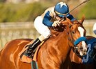 Bourbonette Oaks Draws Nine 3YO Fillies Bourbonette Oaks Draws Nine 3YO Fillies