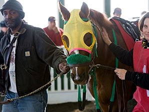 Rapid Redux Questionable For Jan. 4 Start Rapid Redux Questionable For Jan. 4 Start
