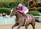 Southwest (gr. III) winner Denis of Cork worked five furlongs at Churchill Downs April 21.