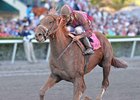 Florida Derby winner Ice Box<br><a target="blank" href="http://www.bloodhorse.com/horse-racing/photo-store?ref=http%3A%2F%2Fpictopia.com%2Fperl%2Fgal%3Fprovider_id%3D368%26ptp_photo_id%3D8849972%26ref%3Dstory">Order This Photo</a>
