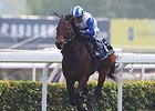 Lord Kanaloa wins the Hong Kong Sprint.
<br><a target="blank" href="http://photos.bloodhorse.com/AtTheRaces-1/at-the-races-2013/27257665_QgCqdh#!i=2955926854&k=KXLxq9n">Order This Photo</a>