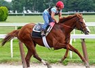 Shackleford
<br><a target="blank" href="http://www.bloodhorse.com/horse-racing/photo-store?ref=http%3A%2F%2Fpictopia.com%2Fperl%2Fgal%3Fprovider_id%3D368%26ptp_photo_id%3D9550952%26ref%3Dstory">Order This Photo</a>