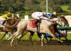Stardom Bound stretches for the win in the Santa Anita Oaks.<br><a target="blank" href="http://www.bloodhorse.com/horse-racing/photo-store?ref=http%3A%2F%2Fpictopia.com%2Fperl%2Fgal%3Fprovider_id%3D368%26ptp_photo_id%3D7865245%26ref%3Dstory">Order This Photo</a>