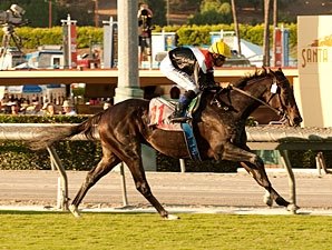 Marketing Mix Out of Derby Day Stakes Marketing Mix Out of Derby Day Stakes