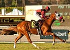 Breeders' Cup Likely for Gervinho, Flashy Way Breeders' Cup Likely for Gervinho, Flashy Way