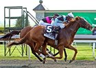 Pachattack won the Doubledogdare by a neck.
