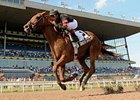 Ginger Brew was the easiest of winners in the June 7 Woodbine Oaks.