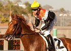 Old Time Hockey won the 2012 La Jolla Handicap.