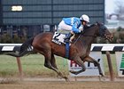 Nicole H wins her third Interborough Stakes at Aqueduct.<br><a target="blank" href="http://photos.bloodhorse.com/AtTheRaces-1/at-the-races-2013/27257665_QgCqdh#!i=2299589978&k=9BM7jQK">Order This Photo</a>