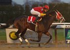 Giant Moon <br><a target="blank" href="http://www.bloodhorse.com/horse-racing/photo-store?ref=http%3A%2F%2Fpictopia.com%2Fperl%2Fgal%3Fprovider_id%3D368%26ptp_photo_id%3D2993871%26ref%3Dstory">Order This Photo</a>