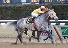 Head Heart Hoof took powers home to victory in the Toboggan Handicap.<br><a target="blank" href="http://photos.bloodhorse.com/AtTheRaces-1/at-the-races-2013/27257665_QgCqdh#!i=2347673694&k=GLFwVgQ">Order This Photo</a>