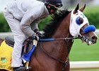 Sway Away Gets His Chance in Preakness Sway Away Gets His Chance in Preakness