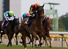 Gentildonna winning the Japanese Oaks.