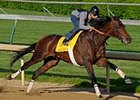 Chocolate Candy, seen here during a previous work, breezed a half-mile at Belmont Park June 1.