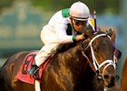 Cowboy Cal has been retired and will enter stud in 2010 at Pin Oak Stud.<br><a target="blank" href="http://www.bloodhorse.com/horse-racing/photo-store?ref=http%3A%2F%2Fpictopia.com%2Fperl%2Fgal%3Fprovider_id%3D368%26ptp_photo_id%3D7685665%26ref%3Dstory">Order This Photo</a>